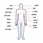 医疗器械可视化