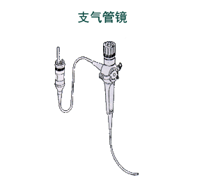 什么是支气管镜？